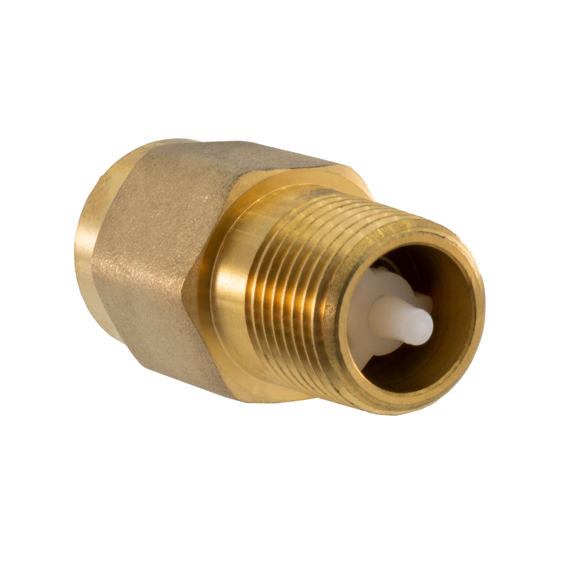 RV Back Flow Preventer 1/2" Brass Check Valve